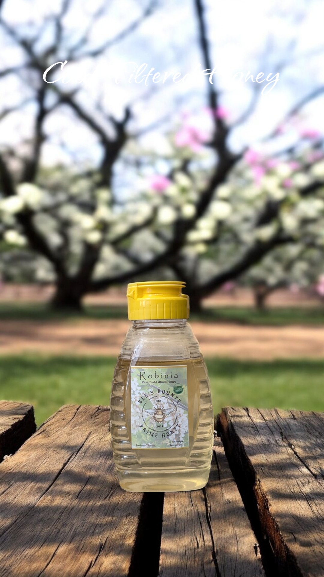 Robinia Honey - Cold Filtered