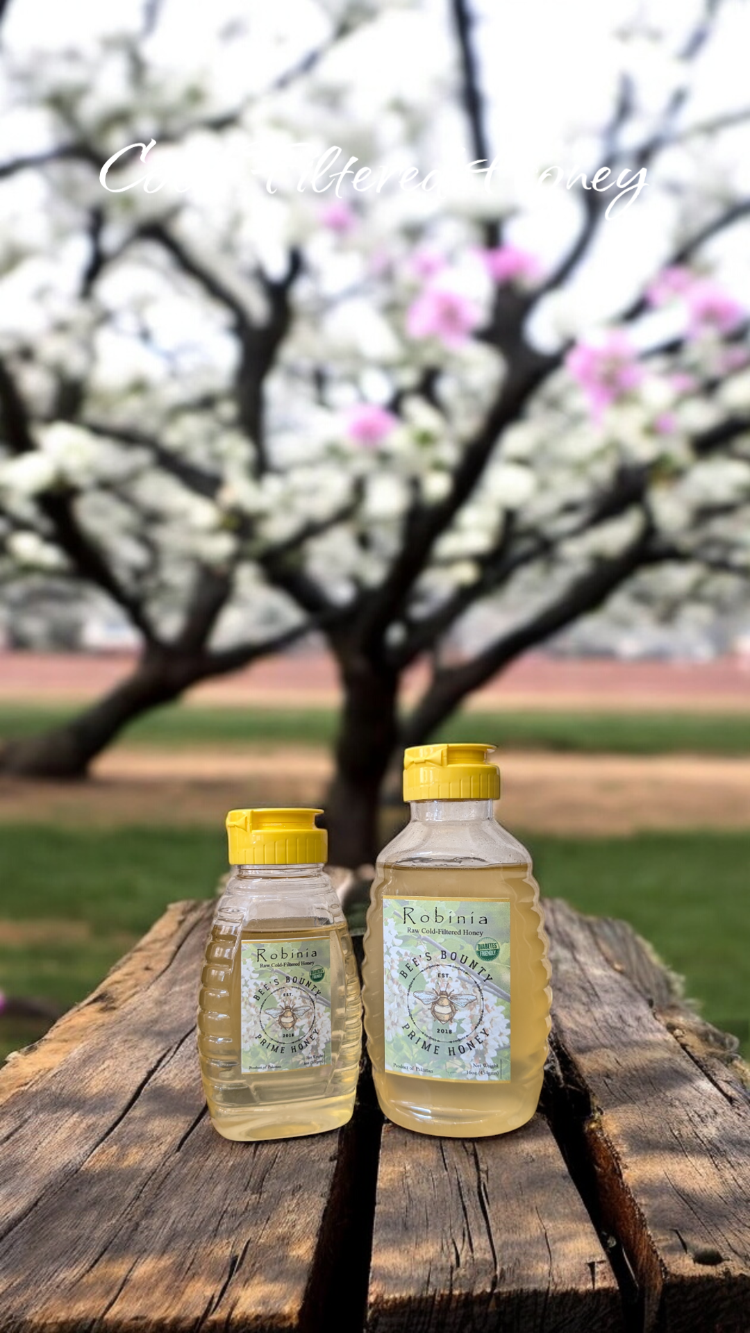 Robinia Honey - Cold Filtered