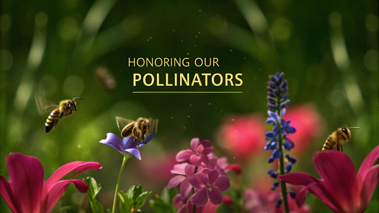 Celebrating World Bee Day: Honoring Our Pollinators 🐝🌼